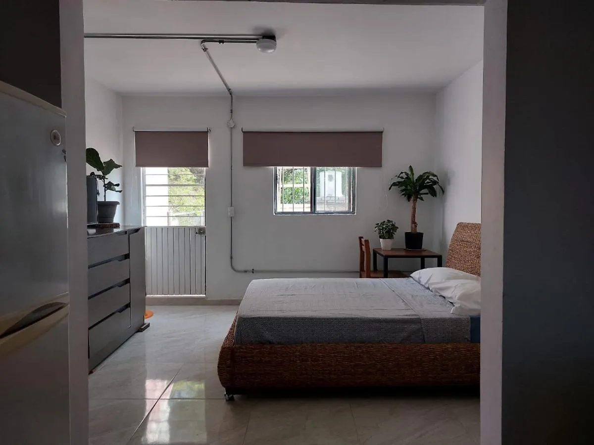 Estudio Independiente Homestay Guadalajara